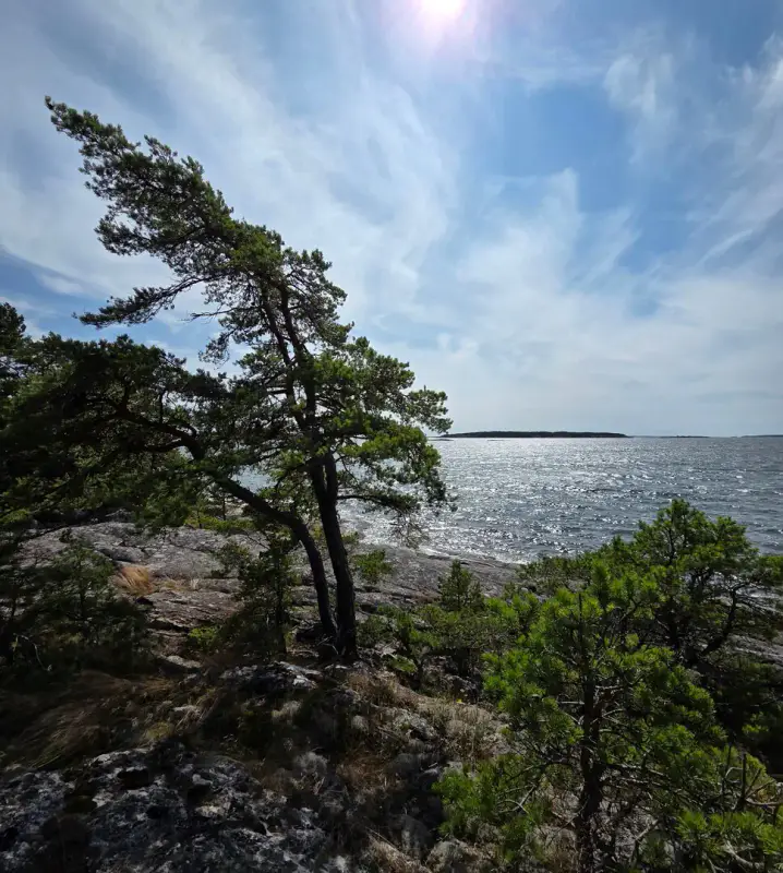Demi-île ~3,65 ha + cabane 16 m² (1994) + sauna, mer — Brännlandet / Nauvo — 13