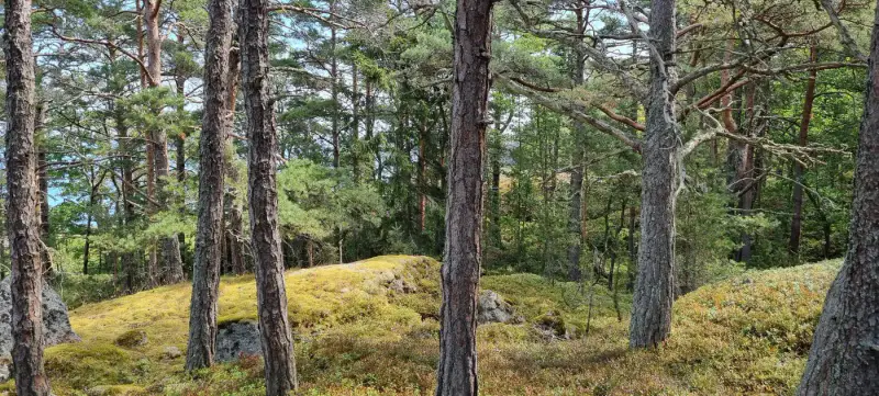 Terrain île ~7,1 ha, droit RA1 200 m², ~400 m rive Haraskärsfjärden — Haraskär / Nauvo / Parainen — 6