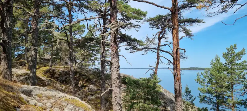 Terrain île ~7,1 ha, droit RA1 200 m², ~400 m rive Haraskärsfjärden — Haraskär / Nauvo / Parainen — 14
