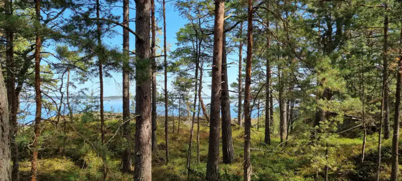 Terrain île ~7,1 ha, droit RA1 200 m², ~400 m rive Haraskärsfjärden — Haraskär / Nauvo / Parainen — 5