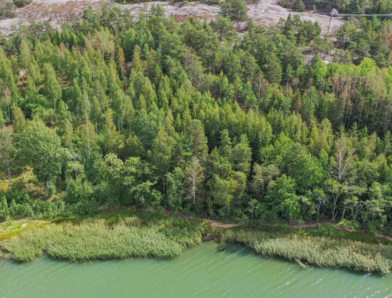 Terrain constructible 1,18 ha, ~100 m rive privée mer, droits 200 m² — Högsar, Nauvo (Parainen) — 5