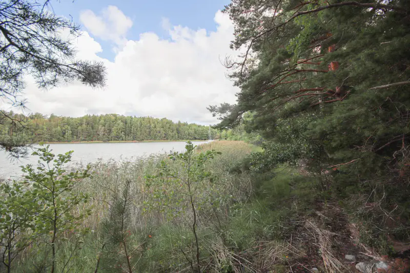 Terrain constructible 1,18 ha, ~100 m rive privée mer, droits 200 m² — Högsar, Nauvo (Parainen) — 1