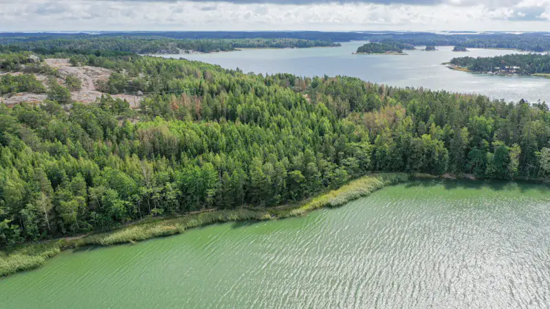 Terrain constructible 1,18 ha, ~100 m rive privée mer, droits 200 m² — Högsar, Nauvo (Parainen) — 2