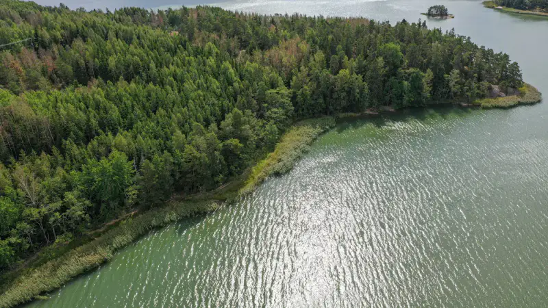 Terrain constructible 1,18 ha, ~100 m rive privée mer, droits 200 m² — Högsar, Nauvo (Parainen) — 7