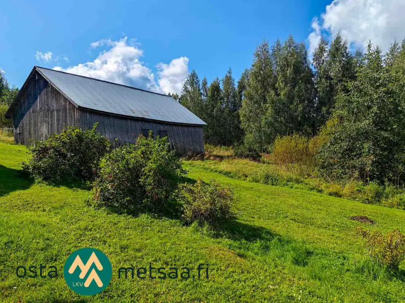 Terrain constructible ~2,6 ha avec rive Kirkkojärvi — Niemenperä / Parkano (bâtiments à démolir) — 3