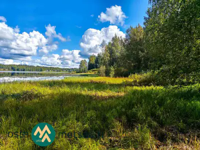 Terrain constructible ~2,6 ha avec rive Kirkkojärvi — Niemenperä / Parkano (bâtiments à démolir) — 1