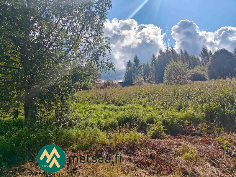 Terrain constructible ~2,6 ha avec rive Kirkkojärvi — Niemenperä / Parkano (bâtiments à démolir) — 2