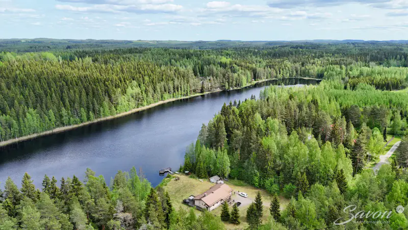Maison ~115 m² (1994) + sauna, 5 930 m² rive Käpry — Jäppilä / Pieksämäki — 5