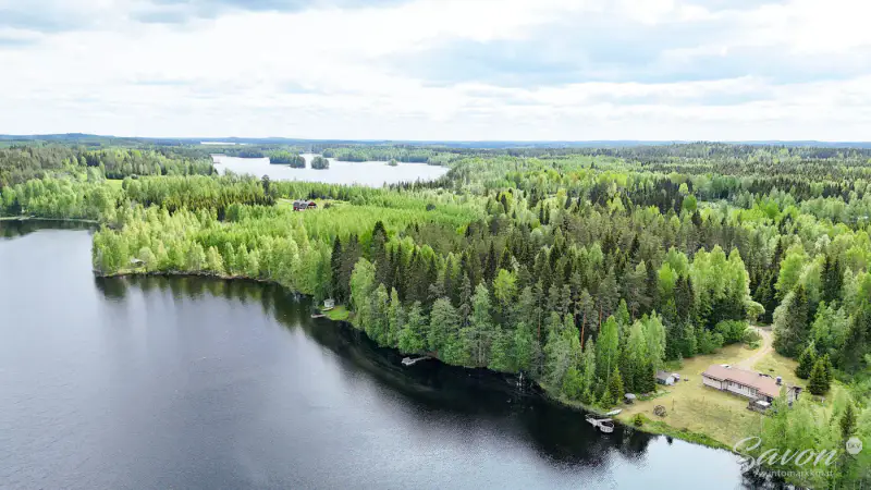 Maison ~115 m² (1994) + sauna, 5 930 m² rive Käpry — Jäppilä / Pieksämäki — 2