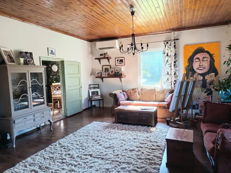 Maison funkis ~140 m² (1937) + écurie, 8,2 ha (~350 m rive), Suontee — Jäppilä / Pieksämäki — 2