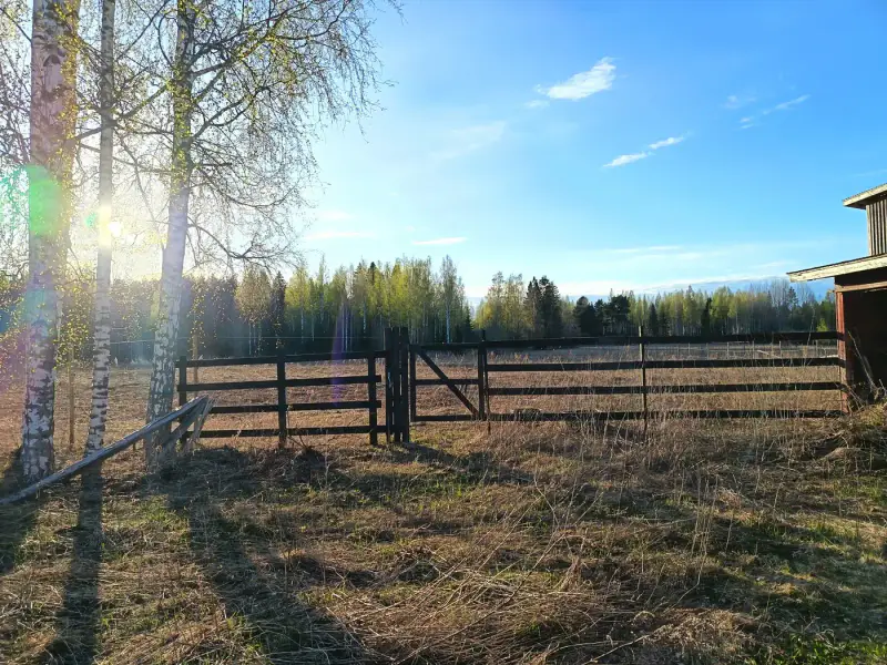 Maison funkis ~140 m² (1937) + écurie, 8,2 ha (~350 m rive), Suontee — Jäppilä / Pieksämäki — 16