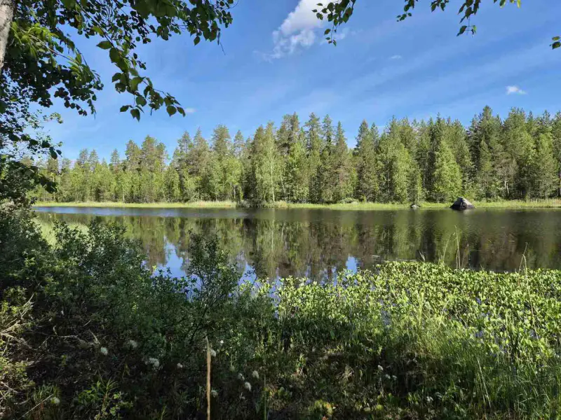 Terrain rive nord-est Ruokojärvi, 5 252 m² (tontti 2) — Ruokojärvi / Pieksämäki — 3