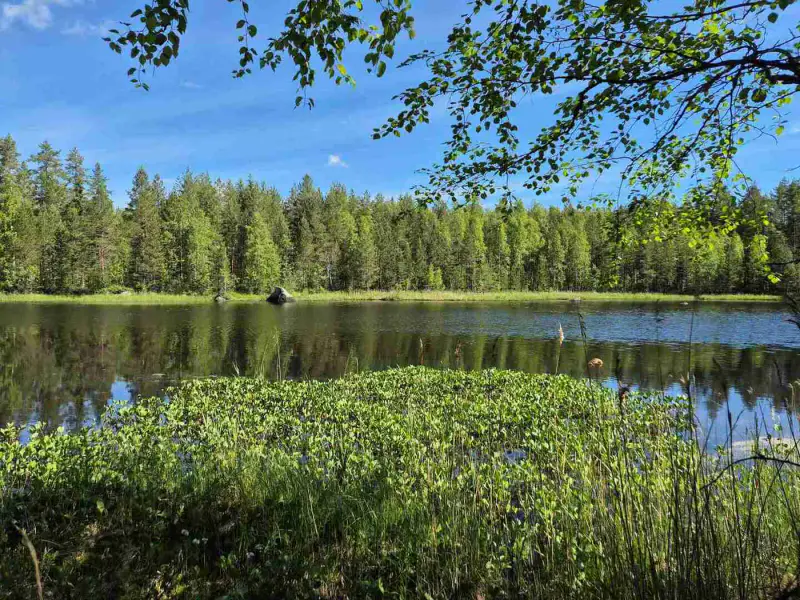 Terrain rive nord-est Ruokojärvi, 5 252 m² (tontti 2) — Ruokojärvi / Pieksämäki — 2