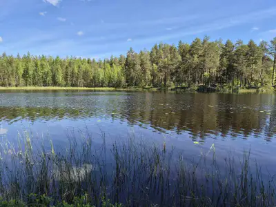 Terrain rive nord-est Ruokojärvi, 5 345 m² (tontti 3) — Ruokojärvi / Pieksämäki — 1