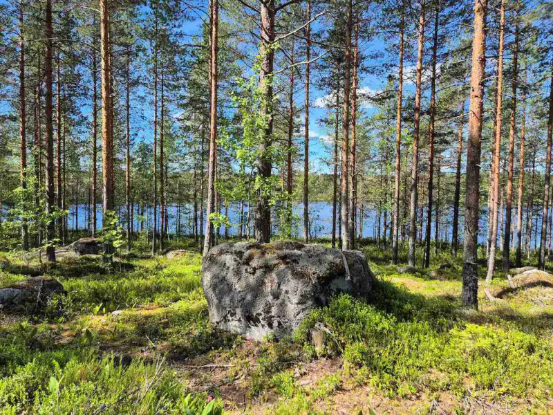 Terrain loisirs rive Mustalampi (étang), 5 388 m² (tontti 8) — Pieksämäki — 7