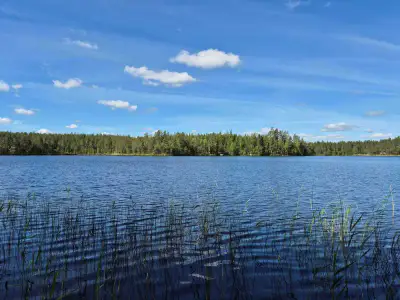 Terrain loisirs rive Mustalampi (étang), 5 388 m² (tontti 8) — Pieksämäki — 1