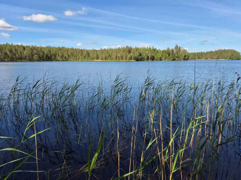 Terrain loisirs rive Mustalampi (étang), 6 272 m² (tontti 9) — Pieksämäki — 1