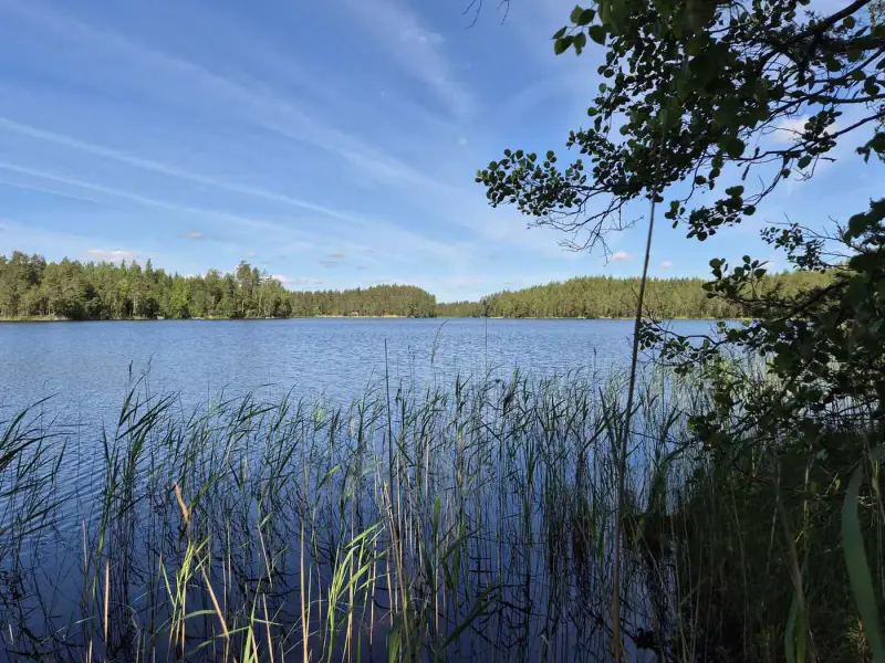 Terrain loisirs rive Mustalampi (étang), 6 272 m² (tontti 9) — Pieksämäki — 9