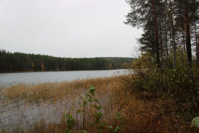 Chalet-sauna moderne (20 m², 2010), 5 384 m² et 64 m de rive privée sur le Ylä-Säyneinen — Polvijärvi, 24 km de Joensuu — 16