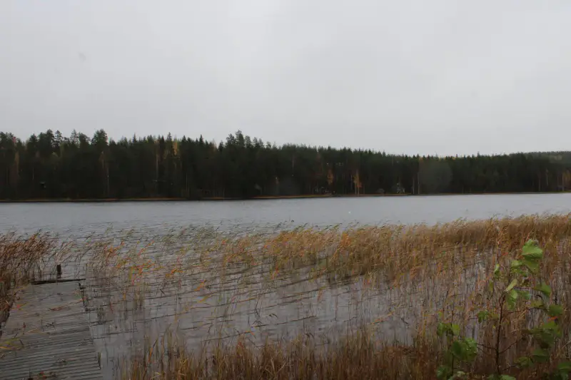 Chalet-sauna moderne (20 m², 2010), 5 384 m² et 64 m de rive privée sur le Ylä-Säyneinen — Polvijärvi, 24 km de Joensuu — 15