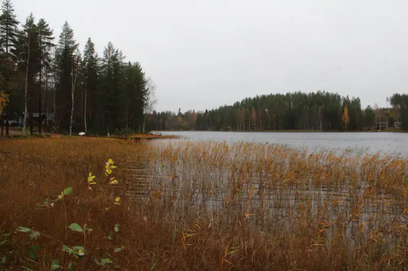 Chalet-sauna moderne (20 m², 2010), 5 384 m² et 64 m de rive privée sur le Ylä-Säyneinen — Polvijärvi, 24 km de Joensuu — 2