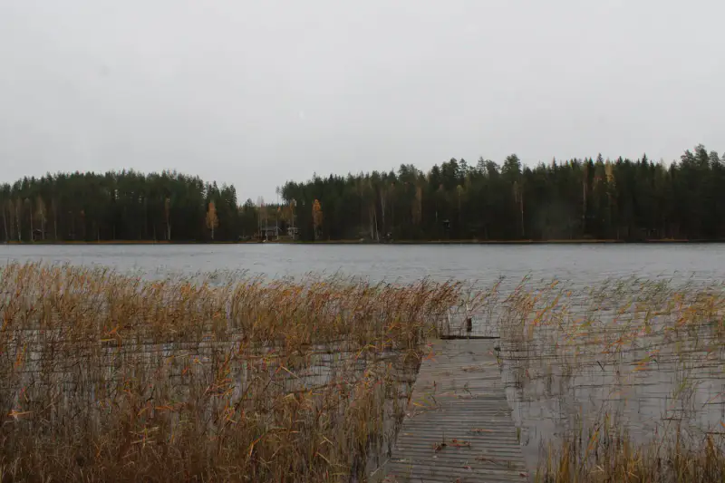 Chalet-sauna moderne (20 m², 2010), 5 384 m² et 64 m de rive privée sur le Ylä-Säyneinen — Polvijärvi, 24 km de Joensuu — 7