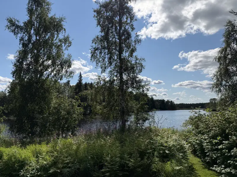 Maison ~178 m² (1997) + sauna, 2 600 m², Posionjärvi — Niemitie / Posio — 7