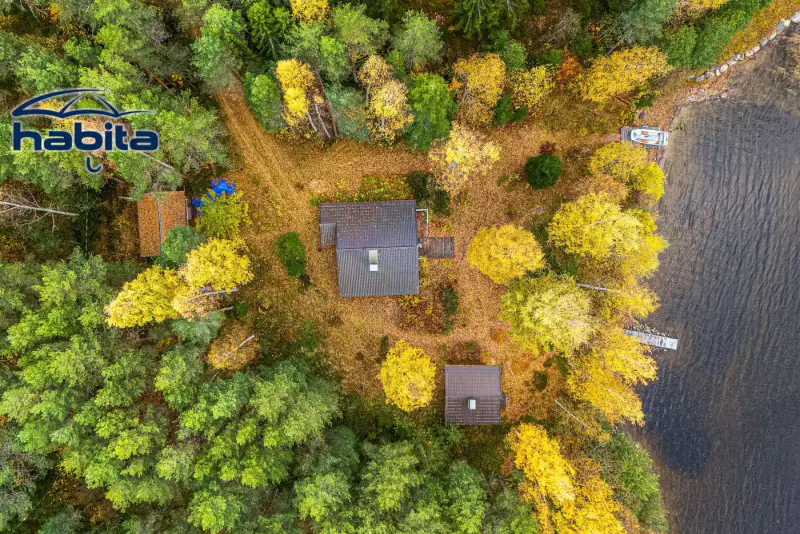 Chalet en rondins de 2004 (56 m²) + sauna de rive, 4 150 m² au bord du Saimaa, à rafraîchir — Puumala — 2