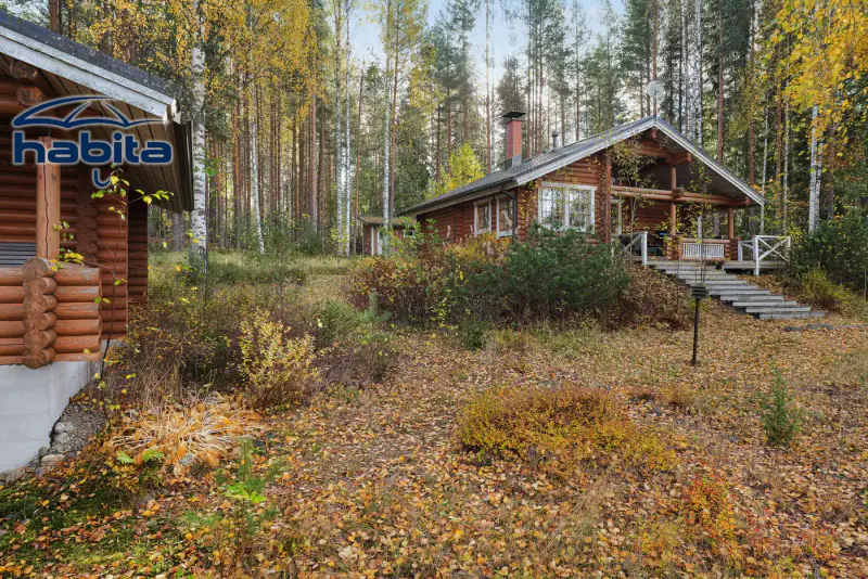 Chalet en rondins de 2004 (56 m²) + sauna de rive, 4 150 m² au bord du Saimaa, à rafraîchir — Puumala — 9
