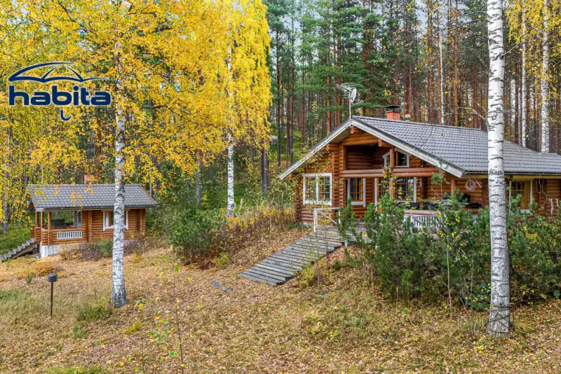 Chalet en rondins de 2004 (56 m²) + sauna de rive, 4 150 m² au bord du Saimaa, à rafraîchir — Puumala — 4