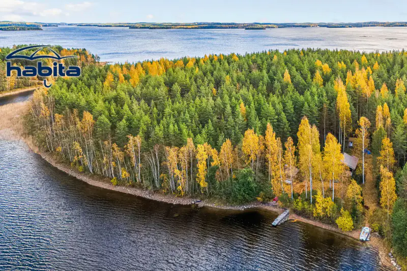 Chalet en rondins de 2004 (56 m²) + sauna de rive, 4 150 m² au bord du Saimaa, à rafraîchir — Puumala — 1