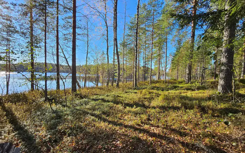 Petit hirsimökki ~15 m² à rénover + sauna, 5 156 m² et ~55 m de rive privée Mammonen — Miettula / Puumala — 6