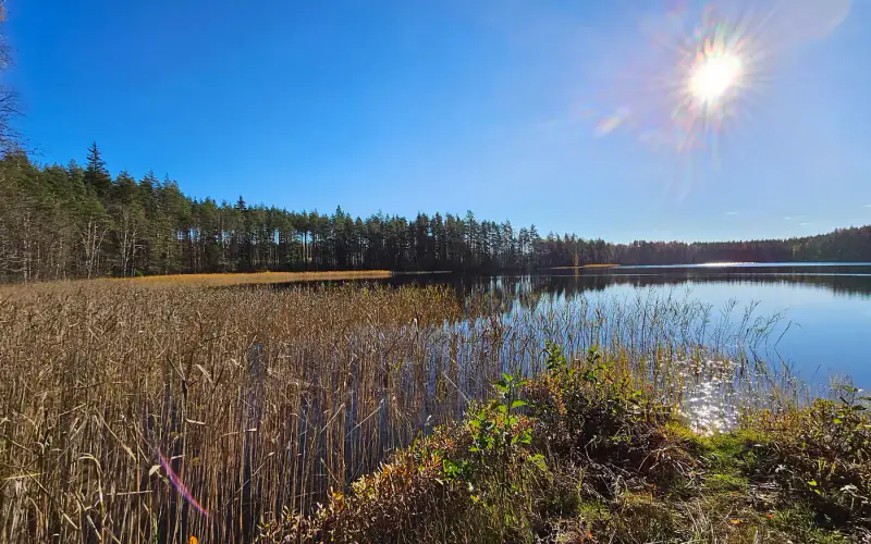 Petit hirsimökki ~15 m² à rénover + sauna, 5 156 m² et ~55 m de rive privée Mammonen — Miettula / Puumala — 2