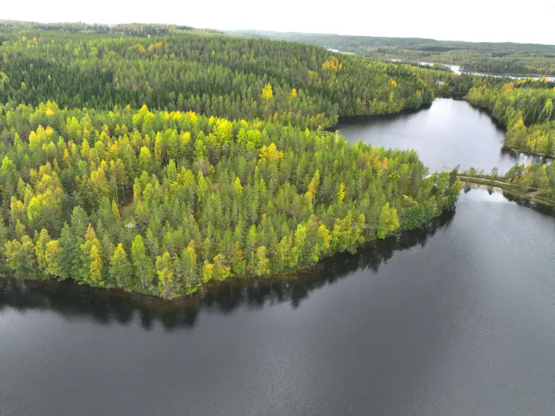 Mökki ~25 m² (2008) + sauna + vierasmaja, 6 050 m², Mykrä — Puumala — 8