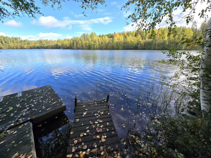 Mökki ~25 m² (2008) + sauna + vierasmaja, 6 050 m², Mykrä — Puumala — 15