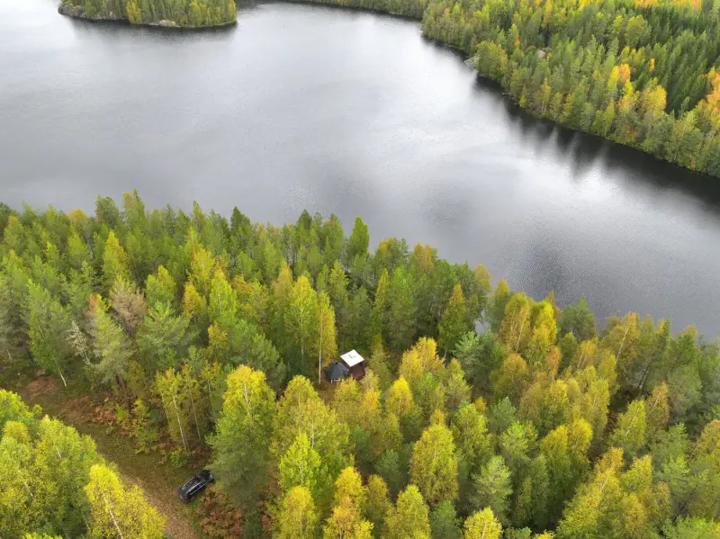 Mökki ~25 m² (2008) + sauna + vierasmaja, 6 050 m², Mykrä — Puumala — 2