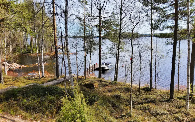 Hirsimökki 2023, 56 m², ~100 m rive sable Saimaa, porakaivo — Puumala — 15