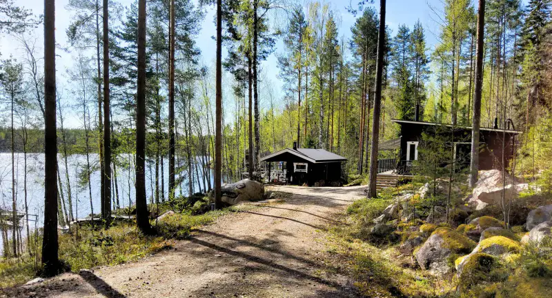 Hirsimökki 2023, 56 m², ~100 m rive sable Saimaa, porakaivo — Puumala — 1
