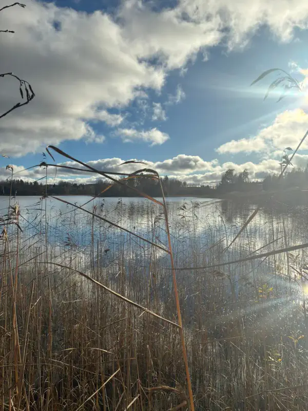 Ancienne maison en rondins de 80 m² à rénover sur 3,9 ha, rive privée sur le Korppisenjärvi — Puumala — 2