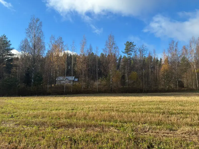 Ancienne maison en rondins de 80 m² à rénover sur 3,9 ha, rive privée sur le Korppisenjärvi — Puumala — 11