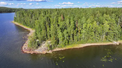 Terrain constructible Saimaa Siikaniemi ~1 ha / 200 m rive — Puumala — 1