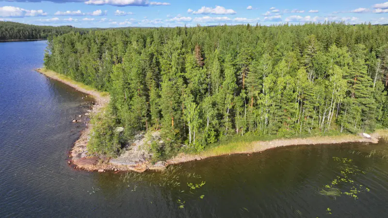 Terrain constructible Saimaa Siikaniemi ~1 ha / 200 m rive — Puumala — 1
