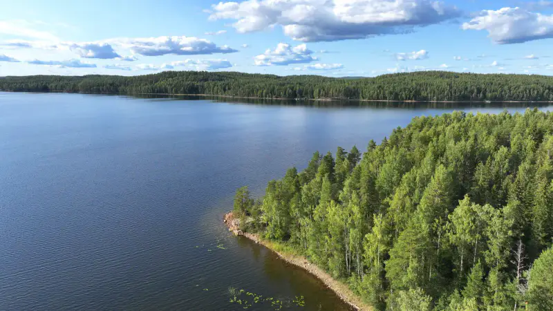 Terrain constructible Saimaa Siikaniemi ~1 ha / 200 m rive — Puumala — 7