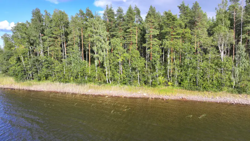 Terrain constructible Saimaa Siikaniemi ~1 ha / 200 m rive — Puumala — 5