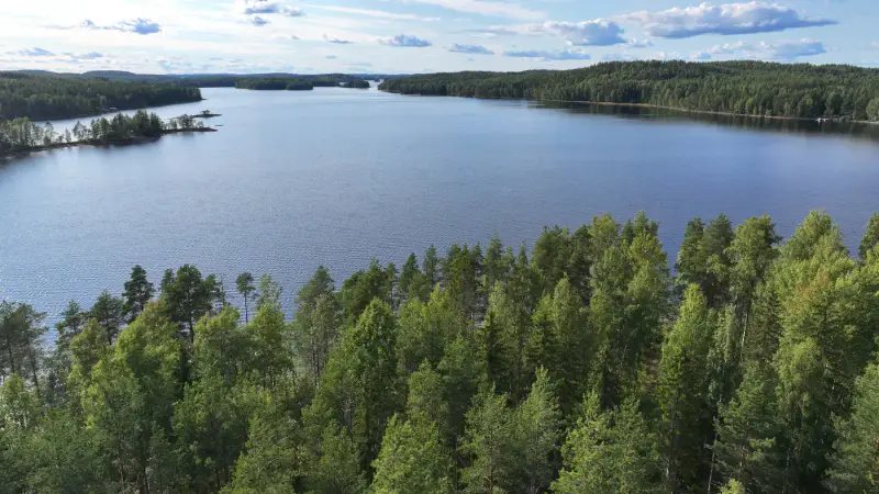 Terrain constructible Saimaa Siikaniemi ~1 ha / 200 m rive — Puumala — 6