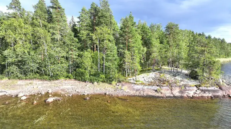 Terrain constructible Saimaa Siikaniemi ~1 ha / 200 m rive — Puumala — 9