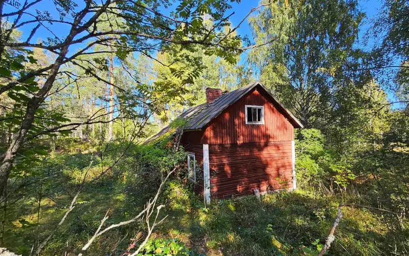 Terrain de loisirs constructible de 1,45 ha avec ~50 m de rive privée ouest sur le Saimaa (250 m² à bâtir) — Puumala — 8