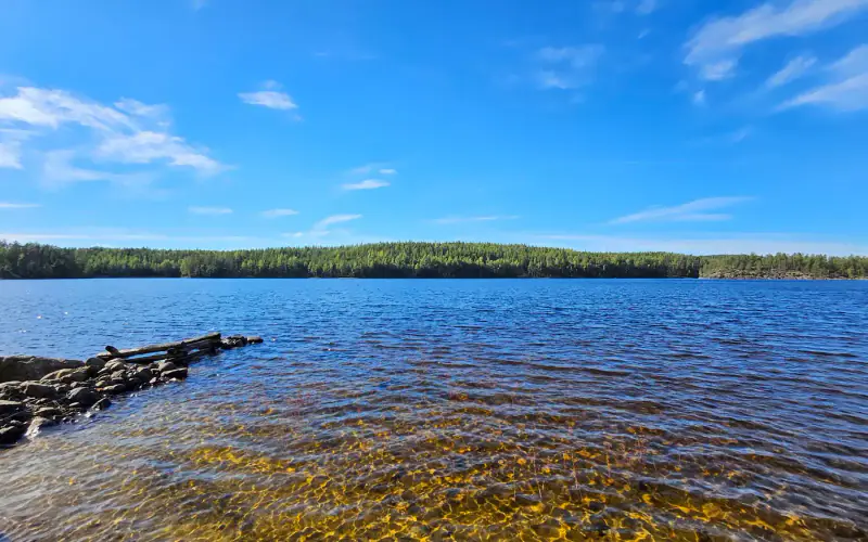 Terrain de loisirs constructible de 1,45 ha avec ~50 m de rive privée ouest sur le Saimaa (250 m² à bâtir) — Puumala — 1