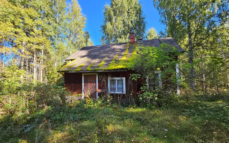 Terrain de loisirs constructible de 1,45 ha avec ~50 m de rive privée ouest sur le Saimaa (250 m² à bâtir) — Puumala — 9