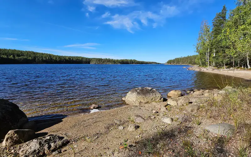 Terrain de loisirs constructible de 1,45 ha avec ~50 m de rive privée ouest sur le Saimaa (250 m² à bâtir) — Puumala — 3